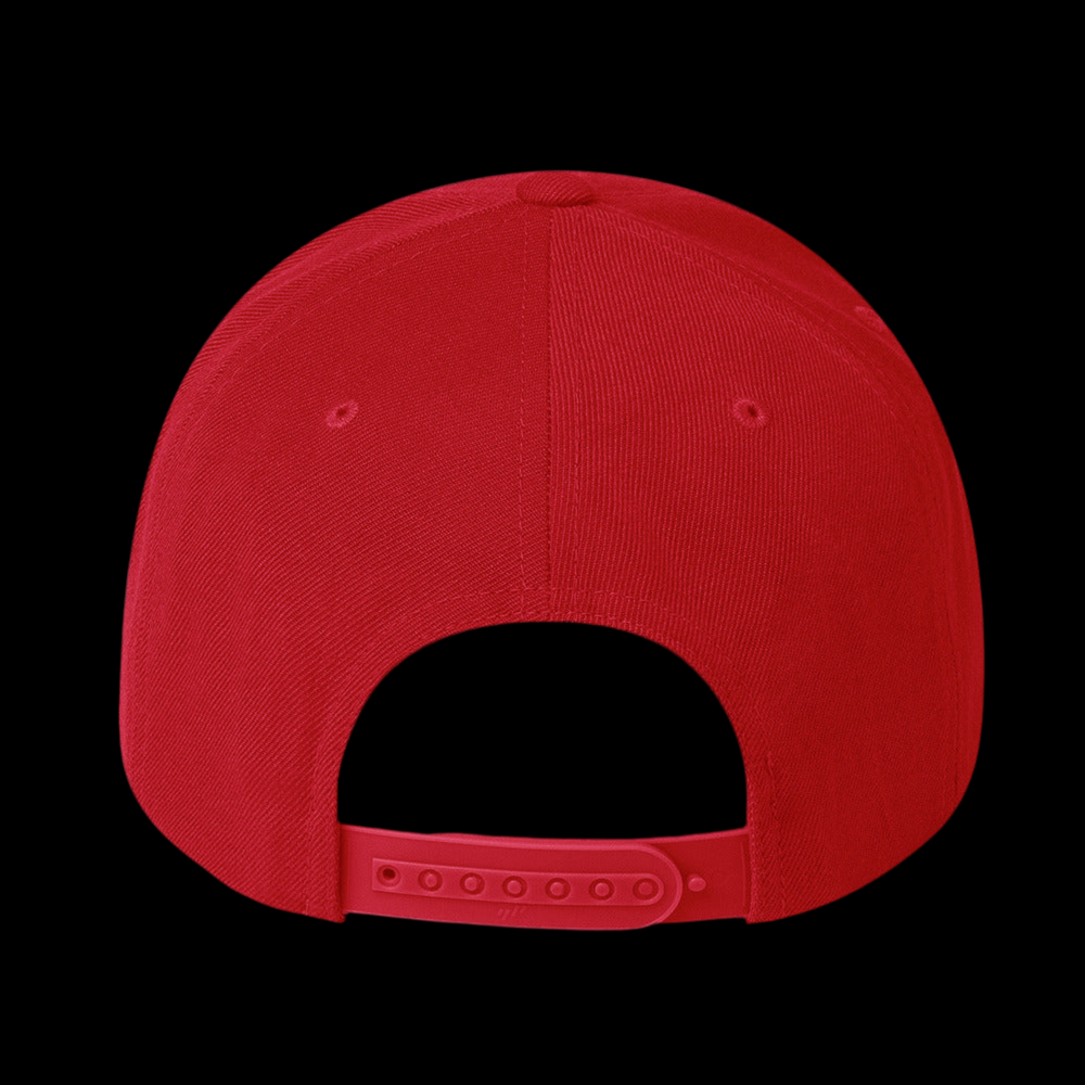 TF Snapback Hat