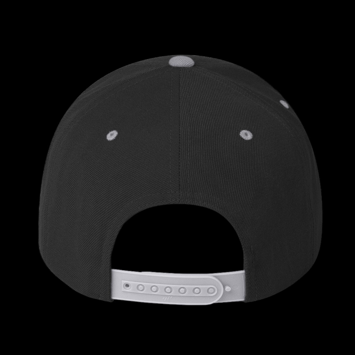 TF Snapback Hat