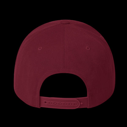 TF Snapback Hat